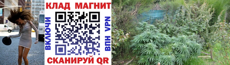 Продажа наркотиков Инсар ГАШ Псилоцибиновые грибы МЕФ КОКАИН Alpha-PVP