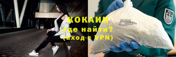 индика Богданович