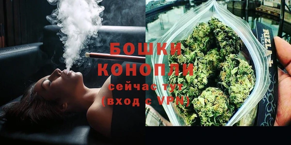 индика Богданович