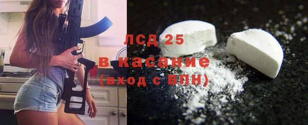 индика Богданович