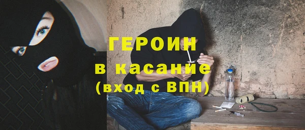 индика Богданович