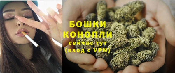 индика Богданович