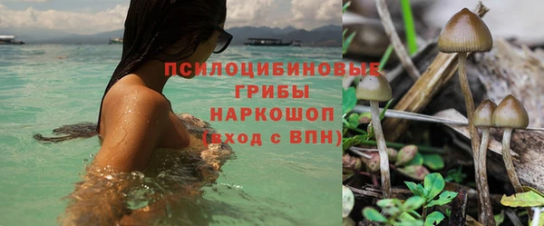 спиды Бородино