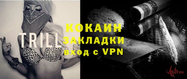 спиды Бородино
